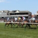 Lucky 15 Tips