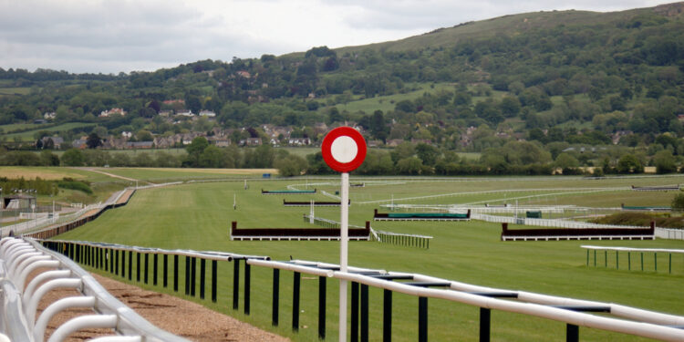Lucky 15 tips