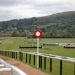 Lucky 15 tips