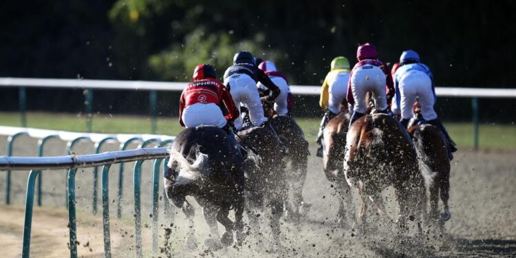 ITV Racing Tips - Saturday (17/12/2022) Algiers to prove the king of the sand