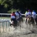 ITV Racing Tips - Saturday (17/12/2022) Algiers to prove the king of the sand