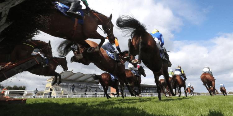 Fairyhouse racecourse, Ireland