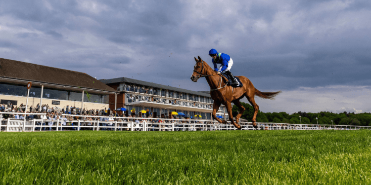 ITV Racing Tips – Saturday (21/01/2023) – Simon & Ed Crisford’s Al Agaila looks ready to plunder Winter Oaks
