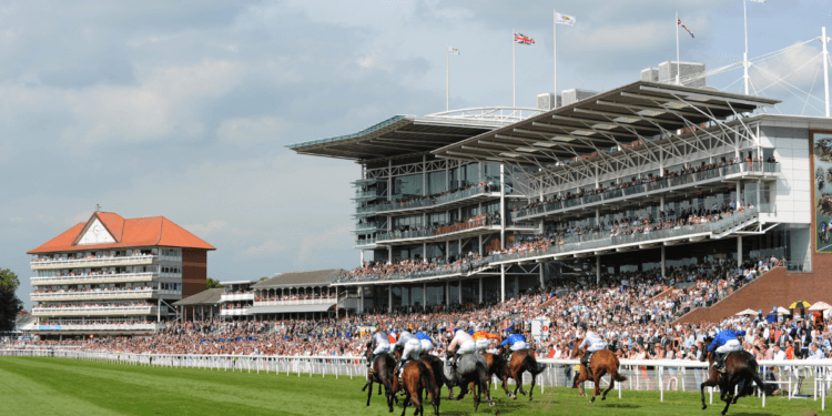 York Races Grandstand