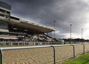 Lucky 15 Tips For Saturday 21st January 2023 – Take Tiger to roar home at Wolves.