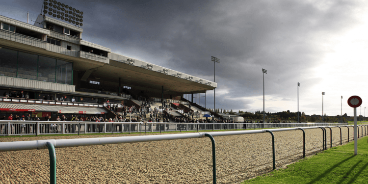Lucky 15 Tips For Saturday 21st January 2023 – Take Tiger to roar home at Wolves.