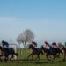 Wincanton racecourse