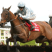 Close Brothers Mares’ Hurdle Tips – Cheltenham Festival Day One, 16:10