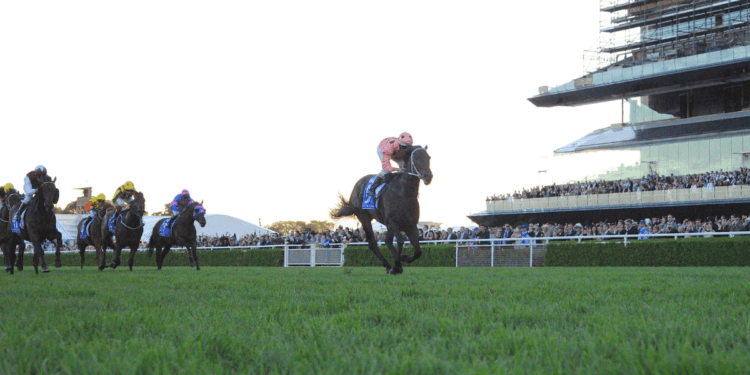 Sydney Autumn Carnival – The Star Doncaster Mile Tips (01/04/23)