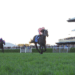 Sydney Autumn Carnival – The Star Doncaster Mile Tips (01/04/23)