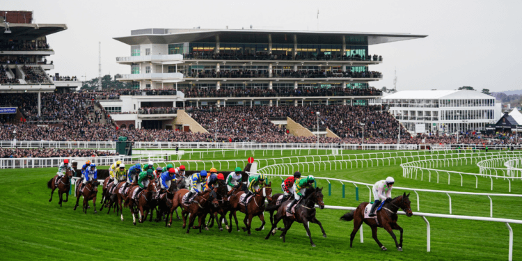 Boodles Juvenile Handicap Hurdle Tips – Cheltenham Festival Day One, 16:50
