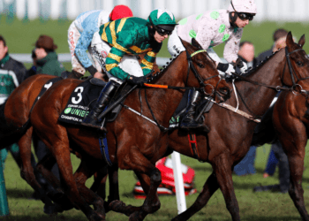 Horse Racing Odds