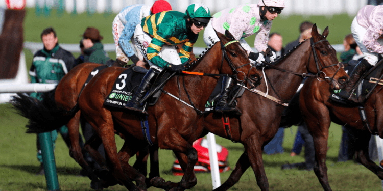 Horse Racing Odds
