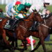 Horse Racing Odds
