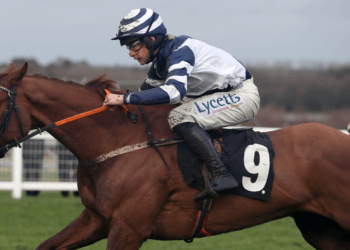 Coral Cup Handicap Hurdle Tips – Cheltenham Festival Day Two, 14:50