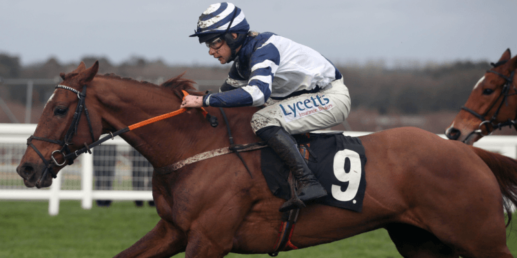 Coral Cup Handicap Hurdle Tips – Cheltenham Festival Day Two, 14:50