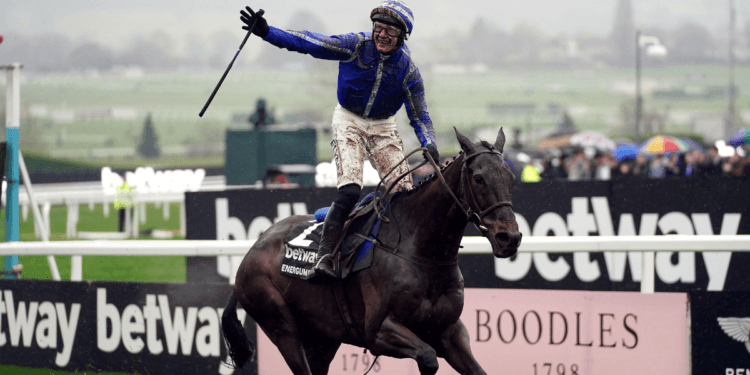 The Brown Advisory Novices’ Steeple Chase Tips – Cheltenham Festival Day Two, 14:10