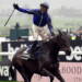 The Brown Advisory Novices’ Steeple Chase Tips – Cheltenham Festival Day Two, 14:10