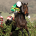 Glenfarclas Cross-Country Chase Tips – Cheltenham Festival Day Two, 16:10