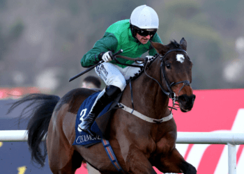 Weatherbys Champion Bumper Tips – Cheltenham Festival Day Two, 17:30
