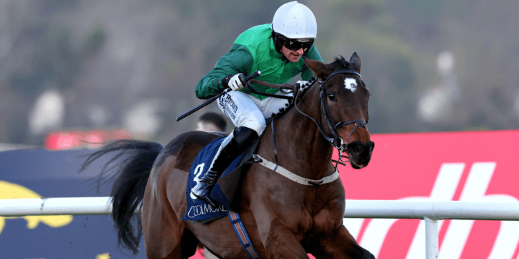 Weatherbys Champion Bumper Tips – Cheltenham Festival Day Two, 17:30