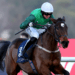 Weatherbys Champion Bumper Tips – Cheltenham Festival Day Two, 17:30