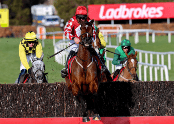 Turners Novices’ Chase Tips – Cheltenham Festival Day Three, 13:30