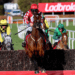 Turners Novices’ Chase Tips – Cheltenham Festival Day Three, 13:30