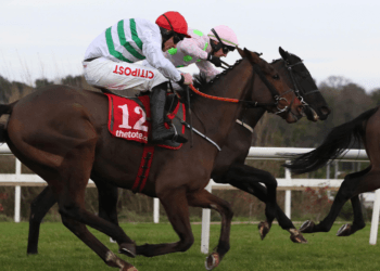 Horse Racing Results