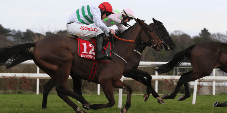 Horse Racing Results