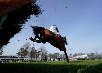 Paddy Power Stayers Hurdle Tips – Cheltenham Festival Day Three, 15:30