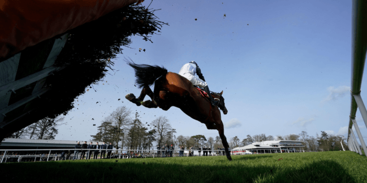 Paddy Power Stayers Hurdle Tips – Cheltenham Festival Day Three, 15:30