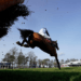 Paddy Power Stayers Hurdle Tips – Cheltenham Festival Day Three, 15:30