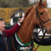 Jack De Bromhead Mares’ Novices’ Hurdle Tips – Cheltenham Festival Day Three, 16:50