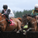 Mrs Paddy Power Mares’ Chase Tips – Cheltenham Festival Day Four, 16:50
