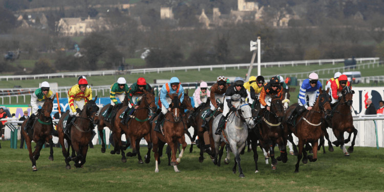 Horse Racing Non Runners