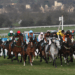 Horse Racing Non Runners