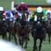 Martin Pipe Conditional Jockey’s Handicap Hurdle Tips – Cheltenham Festival Day Four, 17:30