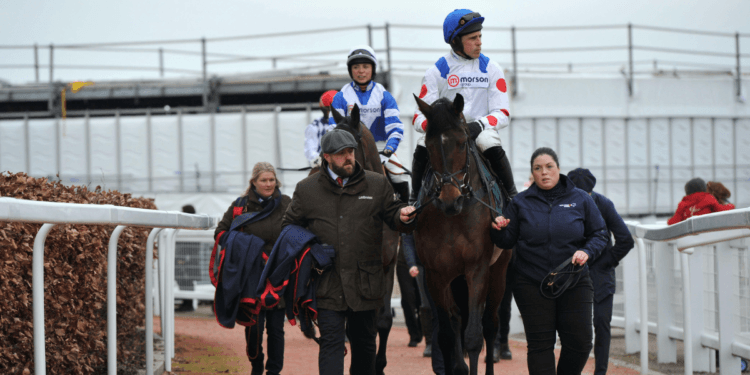 The Boodles Cheltenham Gold Cup Steeple Chase – Trends and statistics – Cheltenham Festival Day Four, 15:30