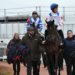 The Boodles Cheltenham Gold Cup Steeple Chase – Trends and statistics – Cheltenham Festival Day Four, 15:30