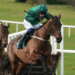 The McCoy Contractors County Handicap Hurdle Race Tips – Cheltenham Festival Day Four, 14:10