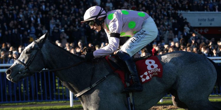 The JCB Triumph Hurdle Tips – Cheltenham Festival Day Four, 13:30