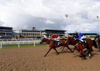 Lucky 15 Tips (18/03/23) – Veteran Thereisnodoubt to make a splash at soggy Newcastle