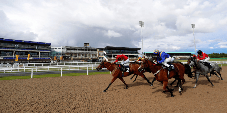 Lucky 15 Tips (18/03/23) – Veteran Thereisnodoubt to make a splash at soggy Newcastle