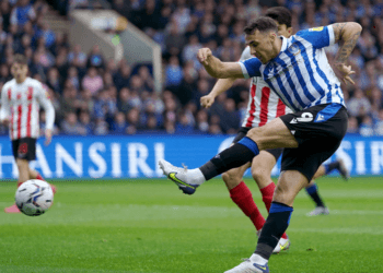 Forest Green vs Sheffield Wednesday Betting Preview – Could Gregory run riot?