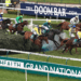 Topham Chase Handicap Tips, Trends, & Analysis (14/04/23) – Aintree Grand National Day Two, 16.05