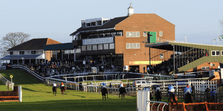 Lucky 15 Tips (14/04/23) – Course specialist Thatbeatsbanagher to strike again at Sedgefield.