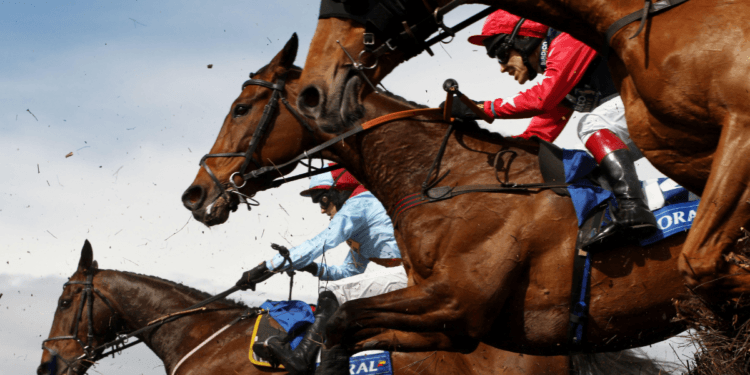 Coral Scottish Grand National Handicap Chase Tips, Trends & Analysis (22/04/23) – Ayr 15:35