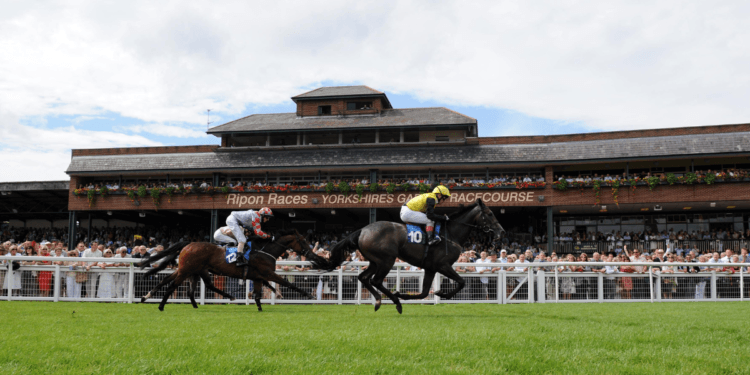 Lucky 15 Tips (29/04/23) – Take Copper Knight to outshine his rivals at Ripon