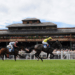 Lucky 15 Tips (29/04/23) – Take Copper Knight to outshine his rivals at Ripon